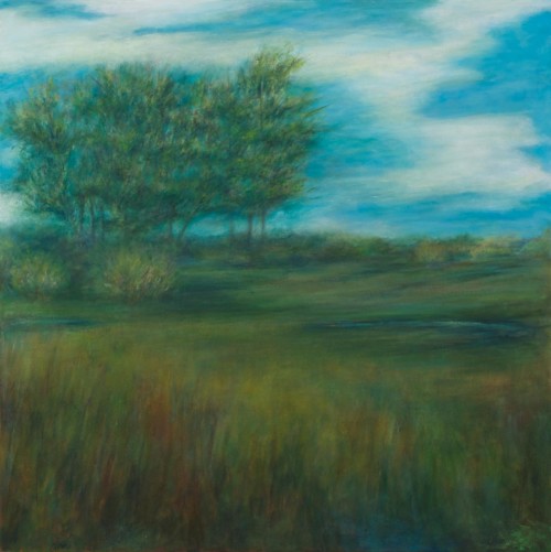 Golden Field, oil, wax, on canvas, 36 in x 36 in