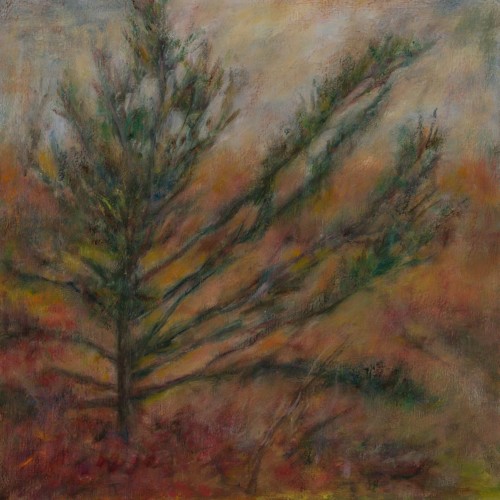 Pine In Fall, oil, on wood, 16 in x 16 in, 2021