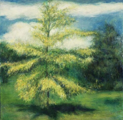 Yellow Maple, oil, wax, on canvas, 24 in x 24 in