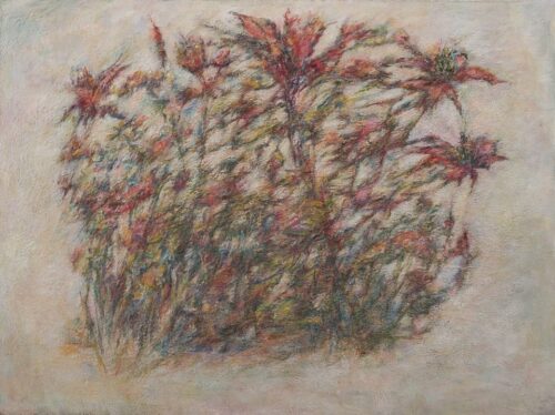 Scarlet Whirl, oil, wax, on canvas, 36 in x 48 in